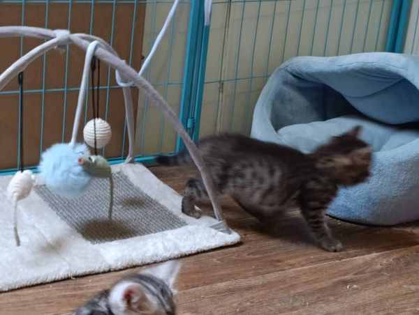 WhatsApp Image 2025-09-23 at 14.56.05.jpeg