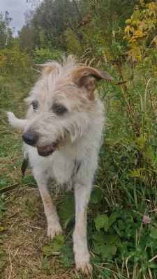 WhatsApp Image 2025-10-12 at 02.18.34.jpeg