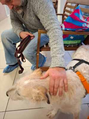 WhatsApp Image 2025-10-30 at 02.34.08.jpeg