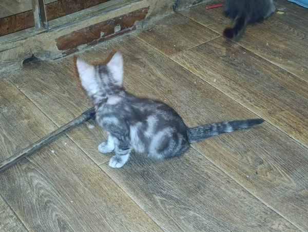 WhatsApp Image 2025-10-13 at 20.42.25 (1).jpeg