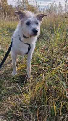 WhatsApp Image 2025-10-17 at 06.34.14.jpeg