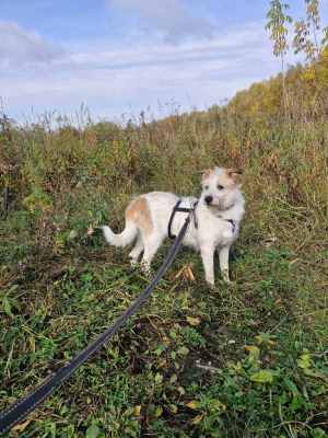 WhatsApp Image 2025-10-17 at 06.33.27 (1).jpeg