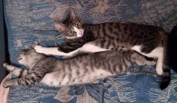 WhatsApp Image 2025-10-14 at 20.34.40.jpeg