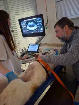 WhatsApp Image 2025-10-30 at 02.34.06.jpeg