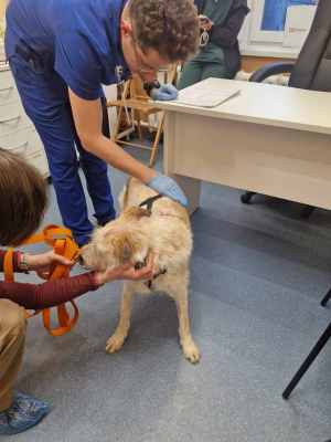 WhatsApp Image 2025-10-29 at 07.40.02.jpeg