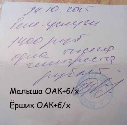 клиника малыша ёршик 10 24.jpg