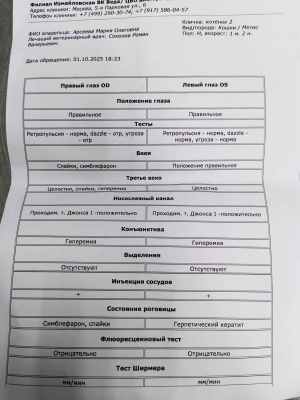 офтальмолог 01.09. котята2.jpg