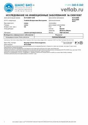 Исследованиянаинф.заболевания_Ухабова_СК0019267.jpg