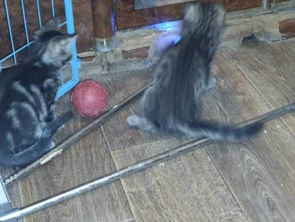 WhatsApp Image 2025-10-13 at 20.42.25.jpeg