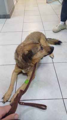 WhatsApp Image 2025-10-13 at 12.40.38 (2).jpeg