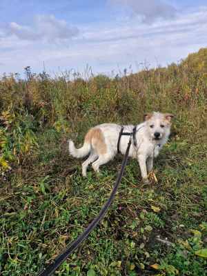 WhatsApp Image 2025-10-17 at 06.33.27.jpeg