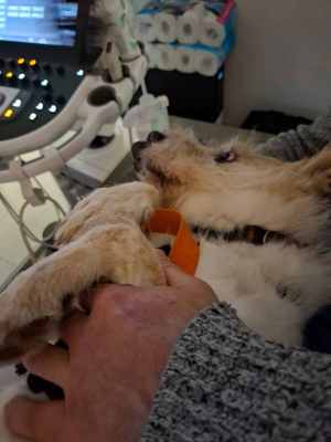 WhatsApp Image 2025-10-30 at 02.34.05.jpeg