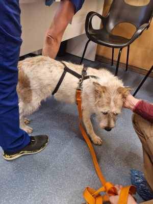 WhatsApp Image 2025-10-29 at 07.40.01.jpeg