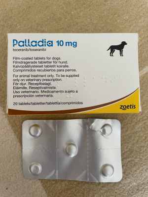 2024-08-28 15-08-20.jpeg