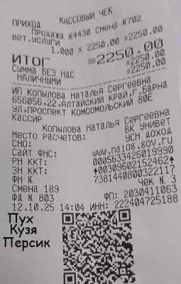 клиника Пух, Кузя, Персик 10 12.jpg