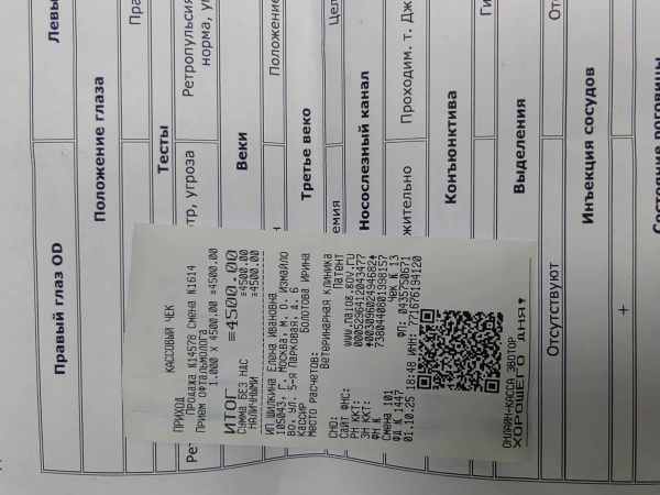 чек офтальмолог котята 01.10..jpg