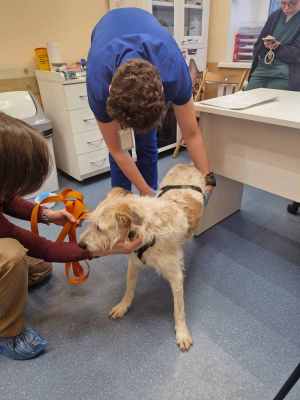 WhatsApp Image 2025-10-29 at 07.40.02 (1).jpeg