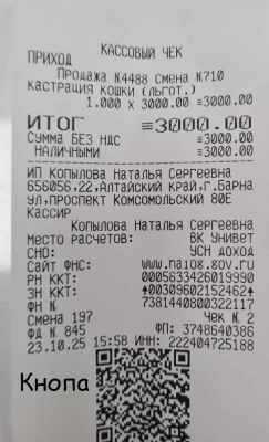 стер кнопы 10 23.jpg