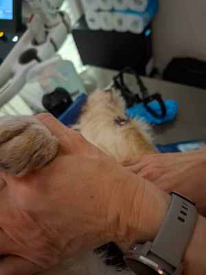 WhatsApp Image 2025-10-30 at 02.34.05 (1).jpeg