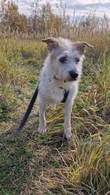 WhatsApp Image 2025-10-17 at 06.34.14 (1).jpeg