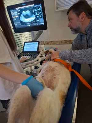 WhatsApp Image 2025-10-30 at 02.34.07 (2).jpeg