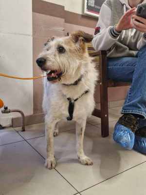 WhatsApp Image 2025-10-29 at 07.40.00.jpeg