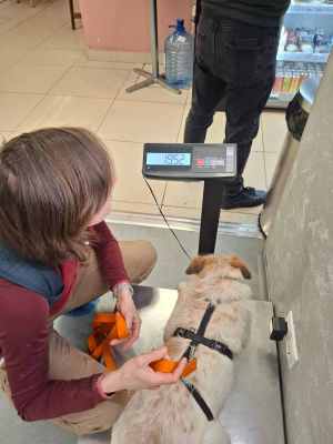 WhatsApp Image 2025-10-30 at 02.34.10.jpeg