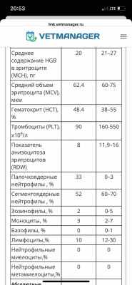 WhatsApp Image 2025-10-13 at 12.41.44 (1).jpeg