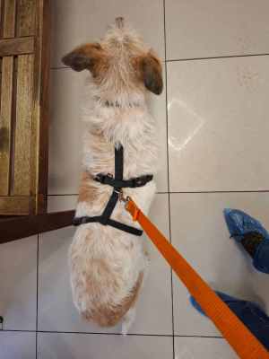 WhatsApp Image 2025-10-30 at 02.34.09.jpeg