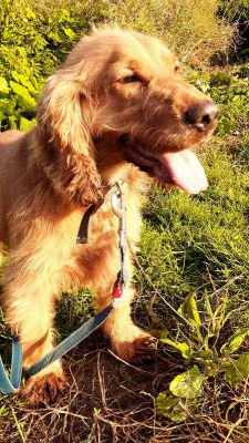 IMG-20250916-WA0034_1.thumb.jpg.8a66592fa6ae53671f16f9234b9bdbe5.jpg