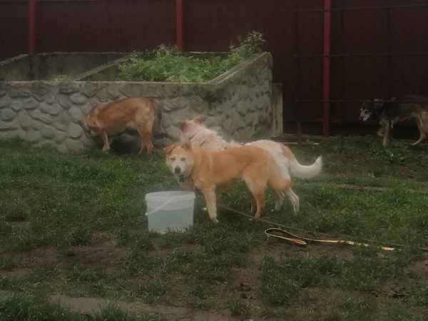 WhatsApp Image 2025-11-10 at 01.40.42.jpeg