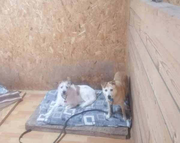 WhatsApp Image 2025-11-11 at 01.51.12.jpeg