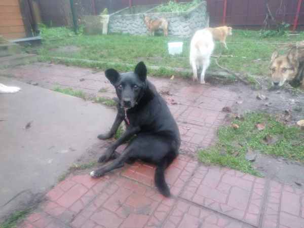 WhatsApp Image 2025-11-10 at 01.40.41.jpeg