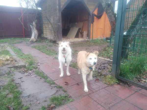 WhatsApp Image 2025-11-10 at 01.40.44 (2).jpeg