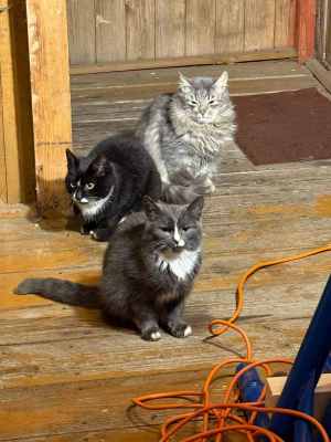 Изображение WhatsApp 2025-11-09 в 18.30.09_775014f7.jpg