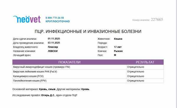 рыжик анализы пцр.jpg