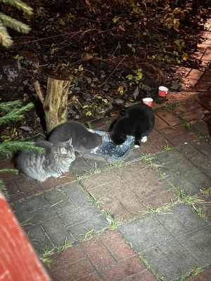 Изображение WhatsApp 2025-11-09 в 18.30.09_2b4b7038.jpg