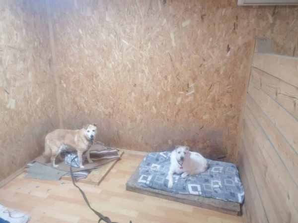 WhatsApp Image 2025-11-11 at 01.51.48.jpeg