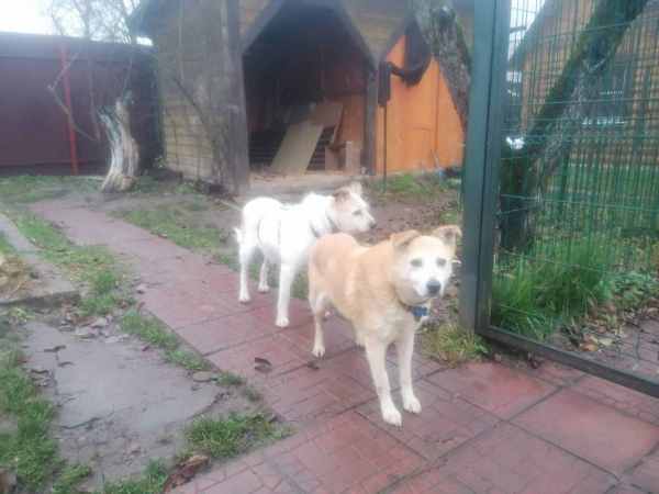 WhatsApp Image 2025-11-10 at 01.40.44 (3).jpeg