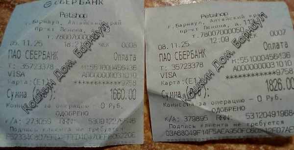 петшоп 11 05 08.jpg