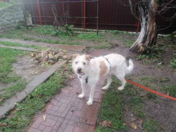 WhatsApp Image 2025-11-04 at 15.26.21.jpeg