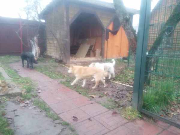 WhatsApp Image 2025-11-10 at 01.40.44.jpeg