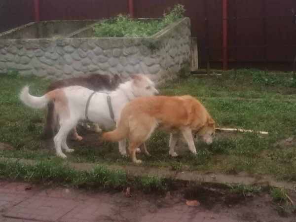 WhatsApp Image 2025-11-10 at 01.40.45.jpeg