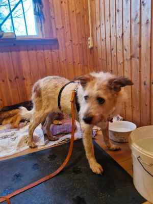 WhatsApp Image 2025-11-04 at 16.14.08 (3).jpeg