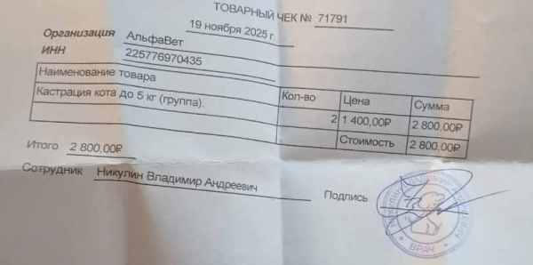 кастрация Сеня и Муратик.jpg