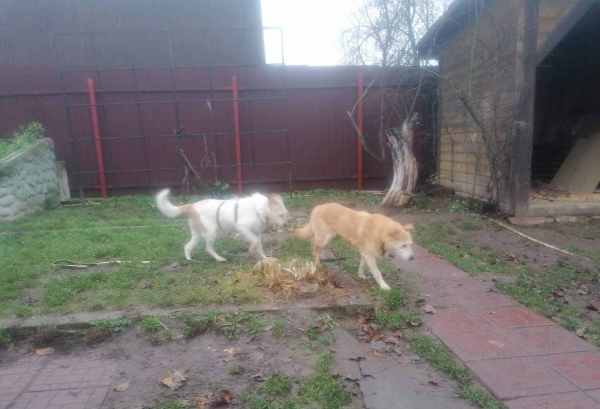 WhatsApp Image 2025-11-10 at 01.40.42 (1).jpeg