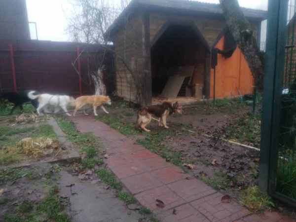 WhatsApp Image 2025-11-10 at 01.40.43.jpeg