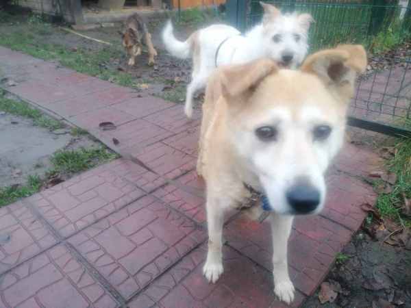 WhatsApp Image 2025-11-10 at 01.40.42 (3).jpeg