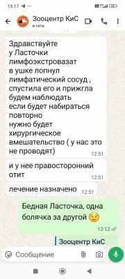 ОТИТ 171125.jpg