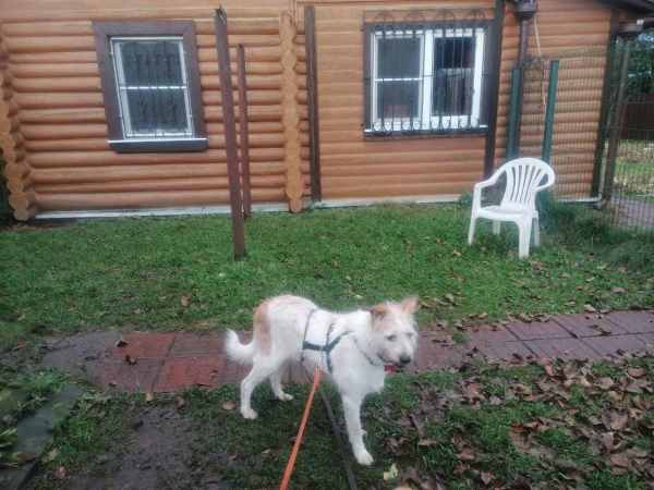 WhatsApp Image 2025-11-04 at 15.26.22 (1).jpeg